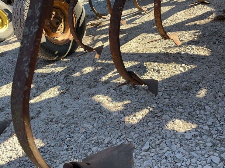 international-c-image-6