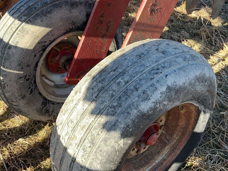 international-496-image-8