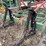 glencoe-danish-tine,-22ft-cultivator,-double-rolling-basket-image-8