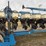 kinze-3600-image-16