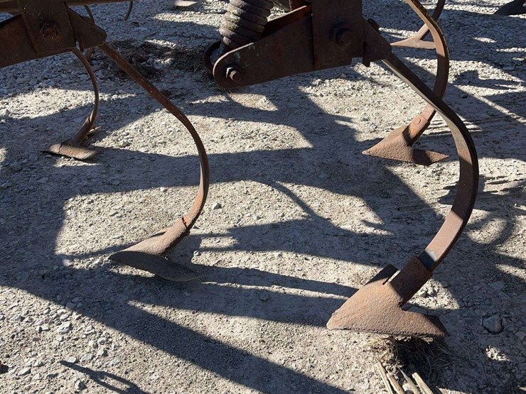 international-c-image-9