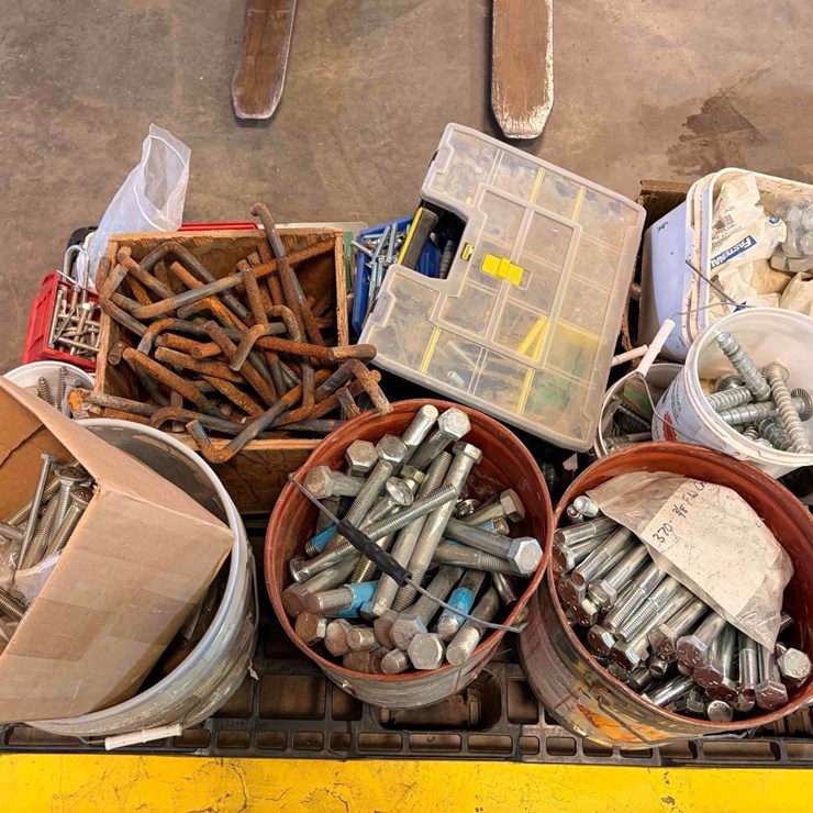 Assortment of Large Fasteners, Bolts, Screws