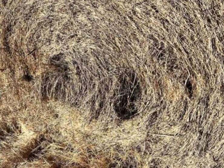 32-round-bales-native-w/stickers-image-1