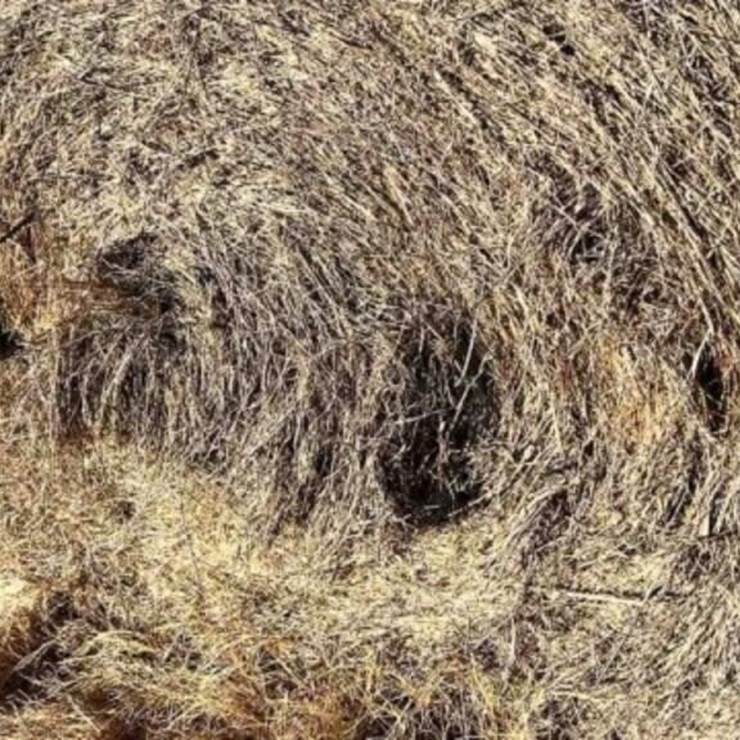 32 Round Bales Native w/Stickers