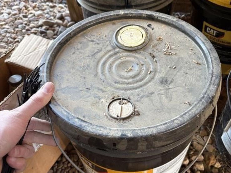 misc-cat-&-other-oils-image-2