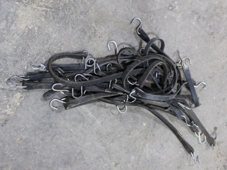 lot-of-bungee-cords-image-2