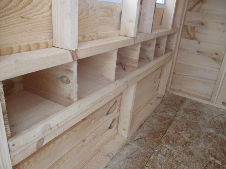 #7013-•-5x8-chicken-coop-image-6