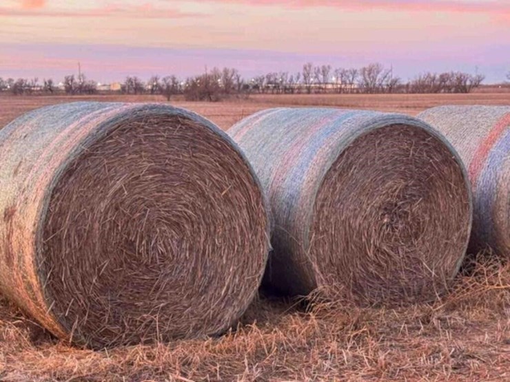20-oat-round-bales-mature-with-grain-,-1,300-lb-image-1