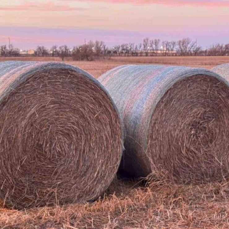 20-OAT ROUND BALES MATURE WITH GRAIN , 1,300 LB