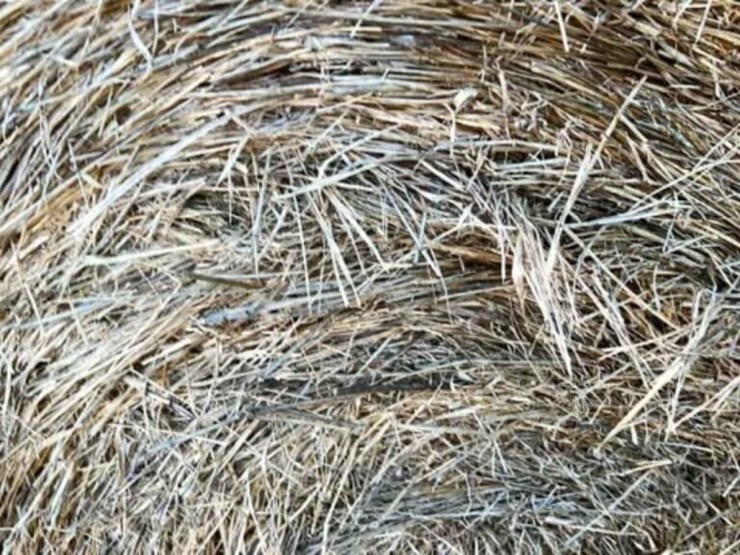 25-round-bales-ozark-&-crabgrass-stickers-image-1