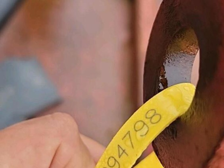 brown-tree-cutter-w/-shaft-image-4