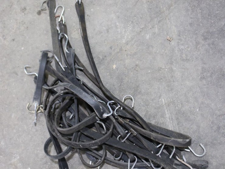 lot-of-bungee-cords-image-1