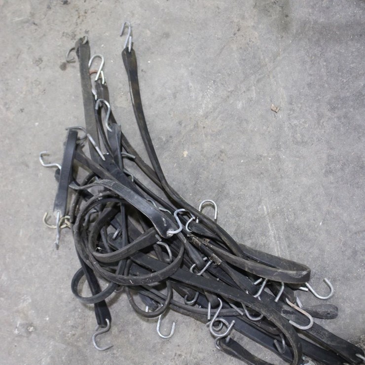Lot Of Bungee Cords