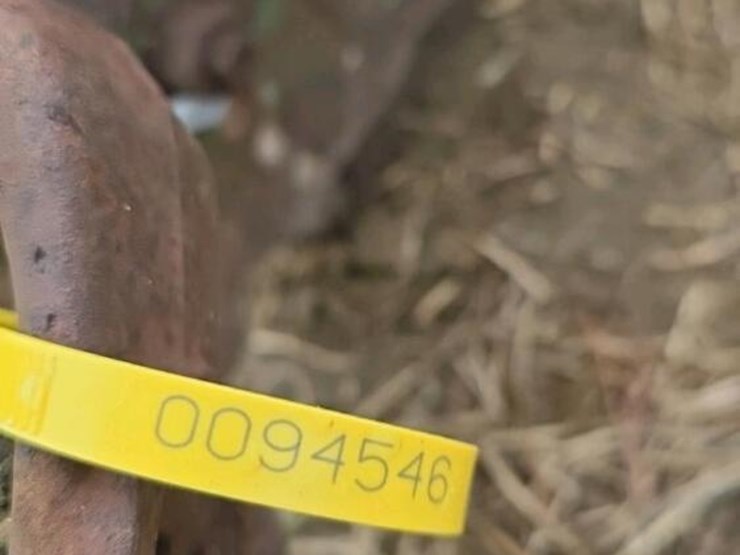 john-deere-hammer-mill,-s/n-110685-w/-shaft-image-6