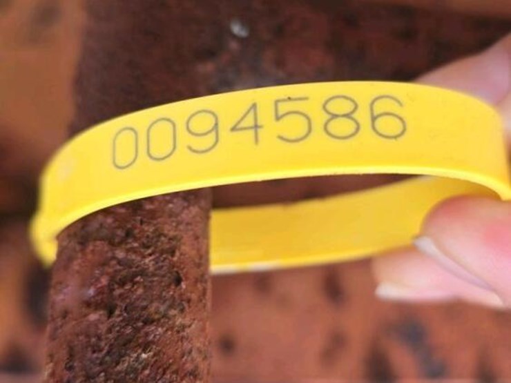 peerless-peanut-wagon-image-4