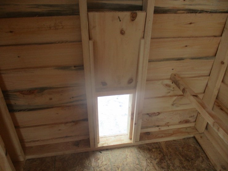 #7017-•-5x8-chicken-coop-image-6