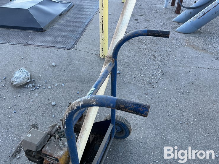 briggs-&-stratton-5.5-hp-liquid-pump-on-cart-image-13