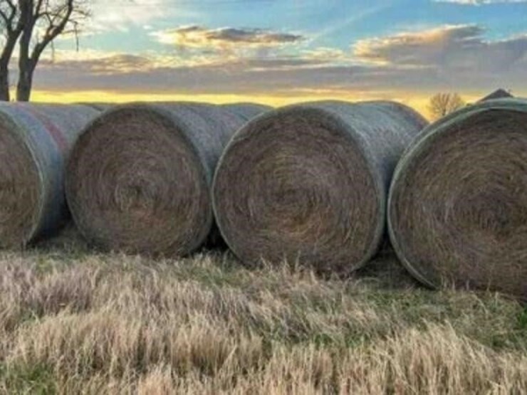 25-round-bales-ozark-&-crabgrass-stickers-image-2