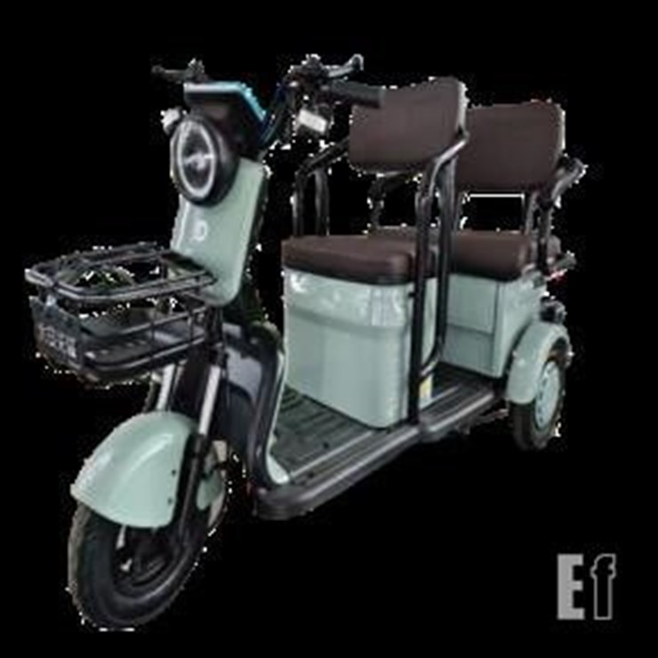 SDLANCH ELECTRIC TRIKE MINI GOLF CART