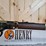 henry-golden-boy-.22-lr-lever-action-rifle-image-14