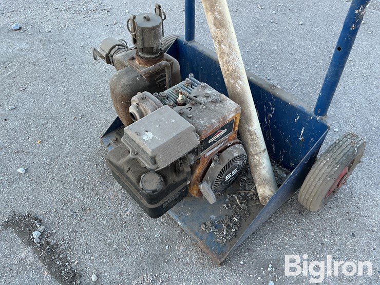 briggs-&-stratton-5.5-hp-liquid-pump-on-cart-image-10