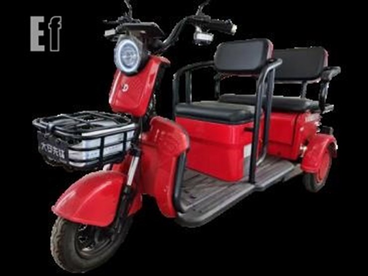 sdlanch-electric-trike-mini-golf-cart-9001-image-1