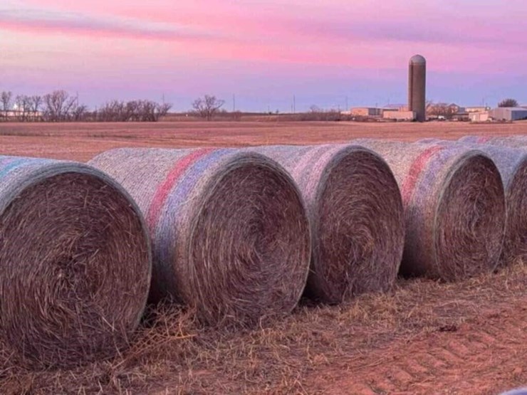 20-oat-round-bales-mature-with-grain-,-1,300-lb-image-4