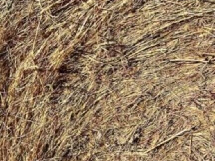 16-native-mix-round-bales-image-1