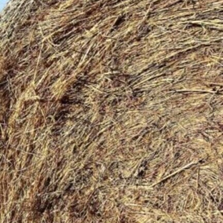 16 Native Mix Round Bales