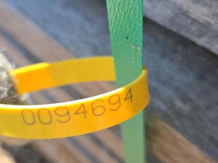 1x12x16-pine-wood-image-2