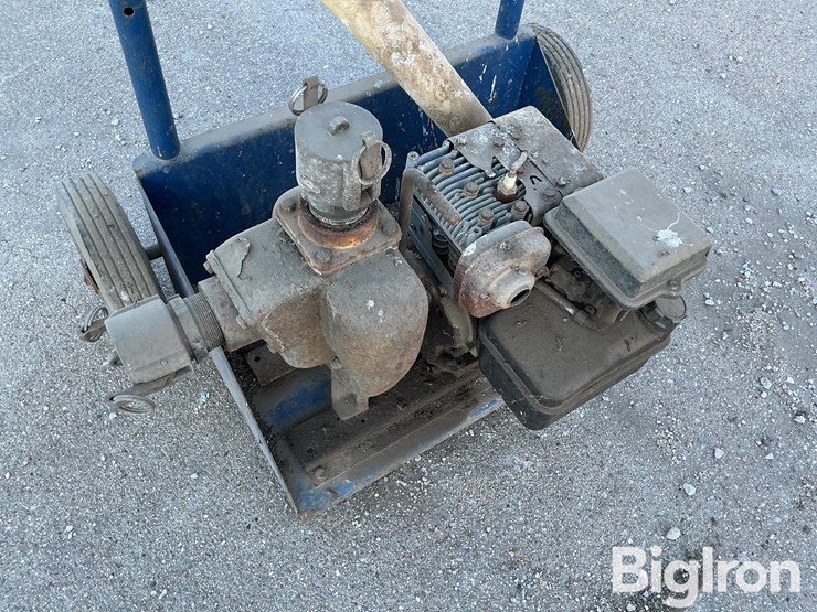 briggs-&-stratton-5.5-hp-liquid-pump-on-cart-image-9