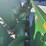 john-deere-693-image-11