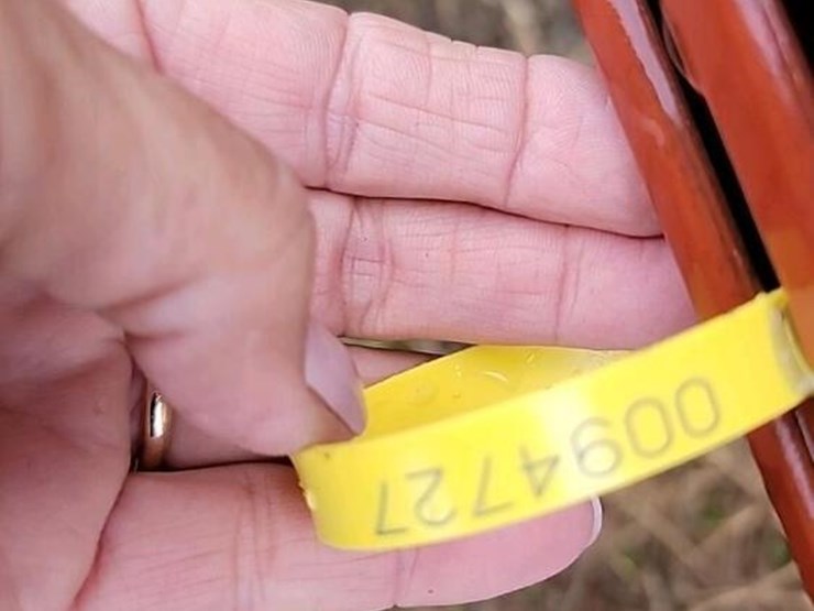 international-234-image-11