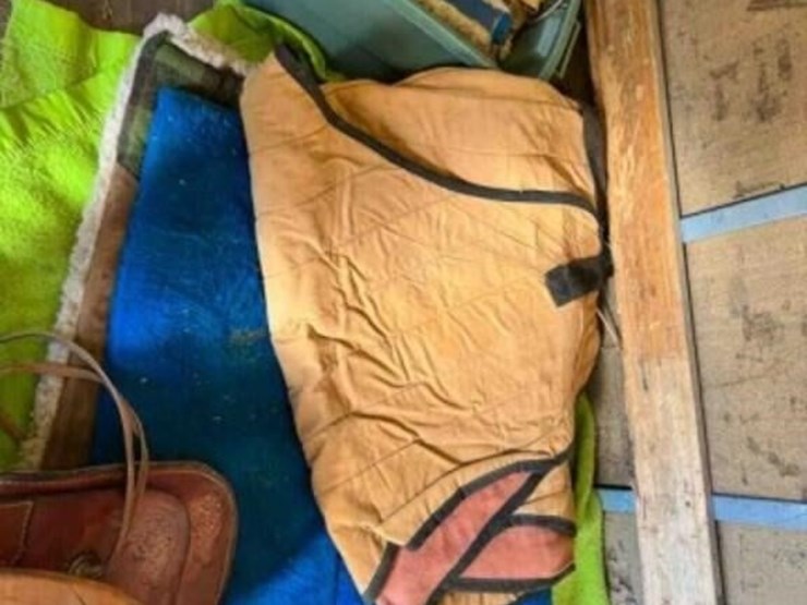 custom-made-buffalo-saddle,-1951-20-image-5