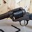ruger-wrangler-.22-lr-sa-revolver-image-4