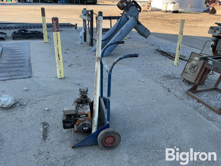 briggs-&-stratton-5.5-hp-liquid-pump-on-cart-image-2