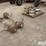 dexter-dually-trailer-axles-w/wheels-image-3