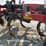 case-ih-870-ecolo-tiger-disc-ripper-image-39