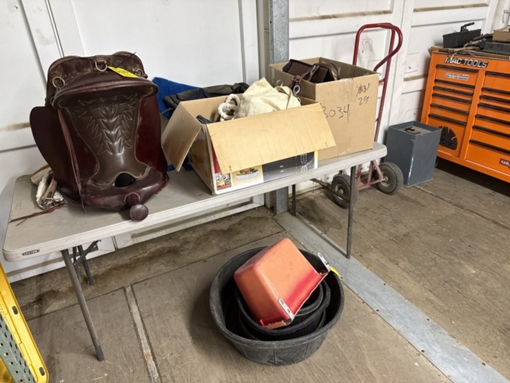 large-lot-of-asst-equine-equipment-image-1