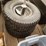 two-15x6.00-6-tires-(new)-image-2