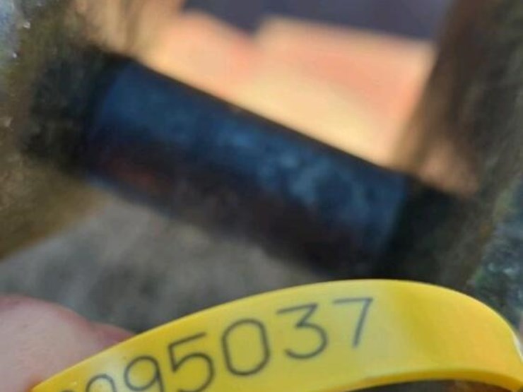 howse-5'-mower-image-4