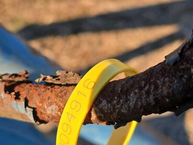 2000-ford-2000-image-3