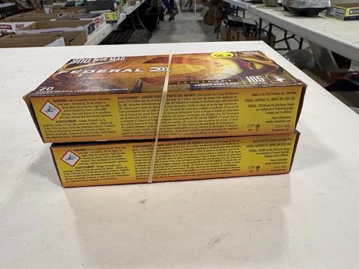 40-rds-300-win-mag-image-2