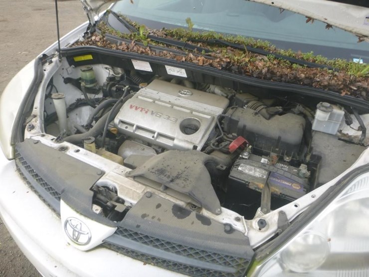 2005-toyota-sienna-image-11