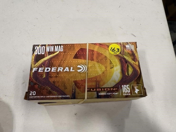 40-rds-300-win-mag-image-1