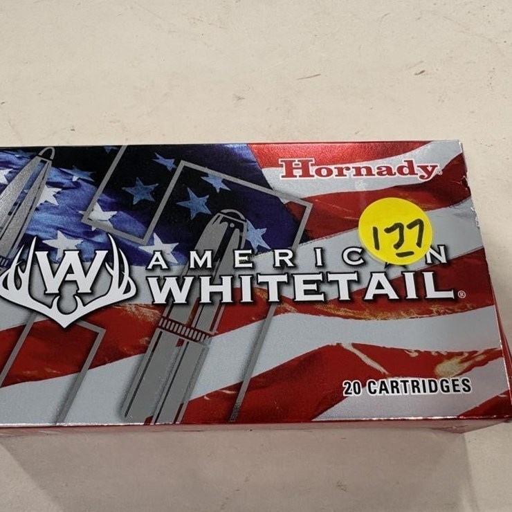 Hornady 308 WIN - 20 Rds