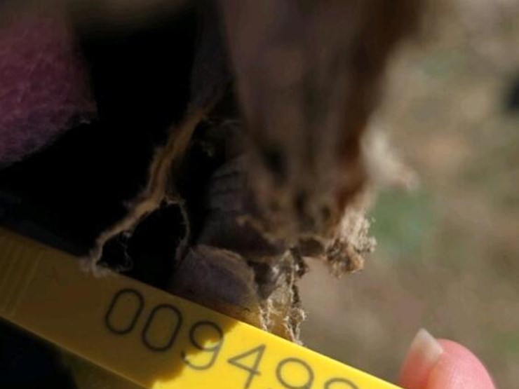 (5)-cases-of-chicken-house-controllers-image-4