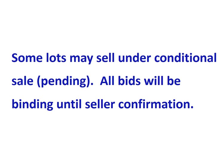 #2993-•-conditional-sale-image-1