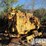 caterpillar-d353-image-1