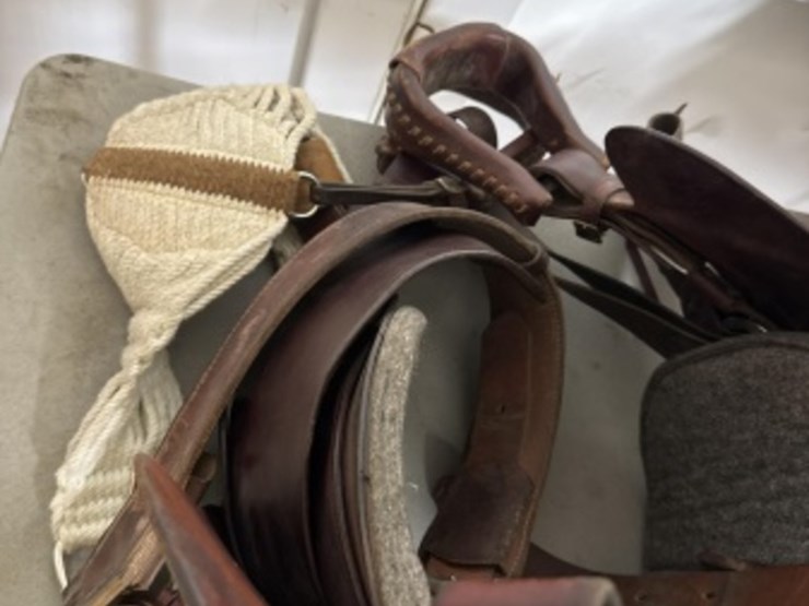 large-lot-of-asst-equine-equipment-image-7